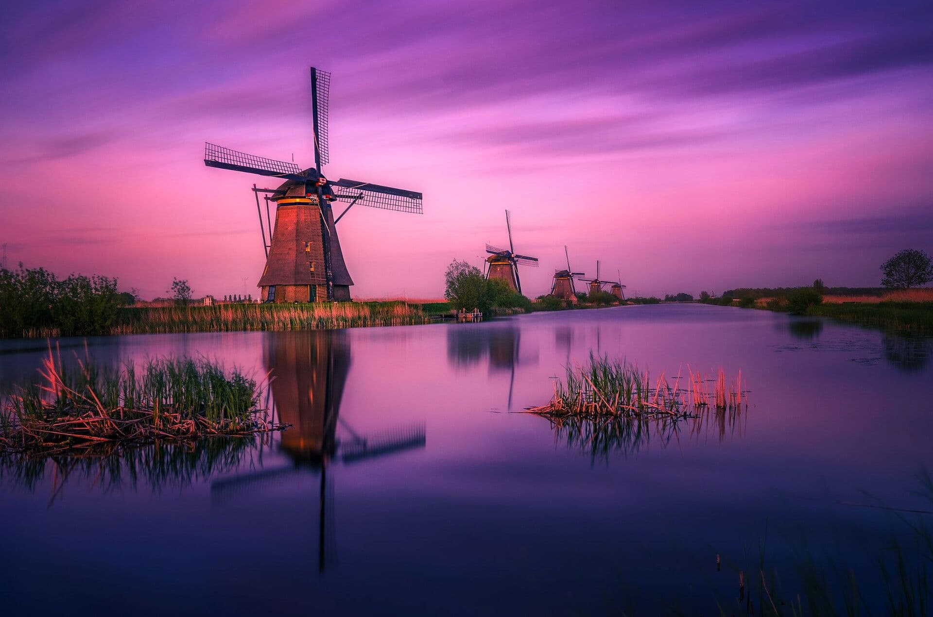 WK-NL
