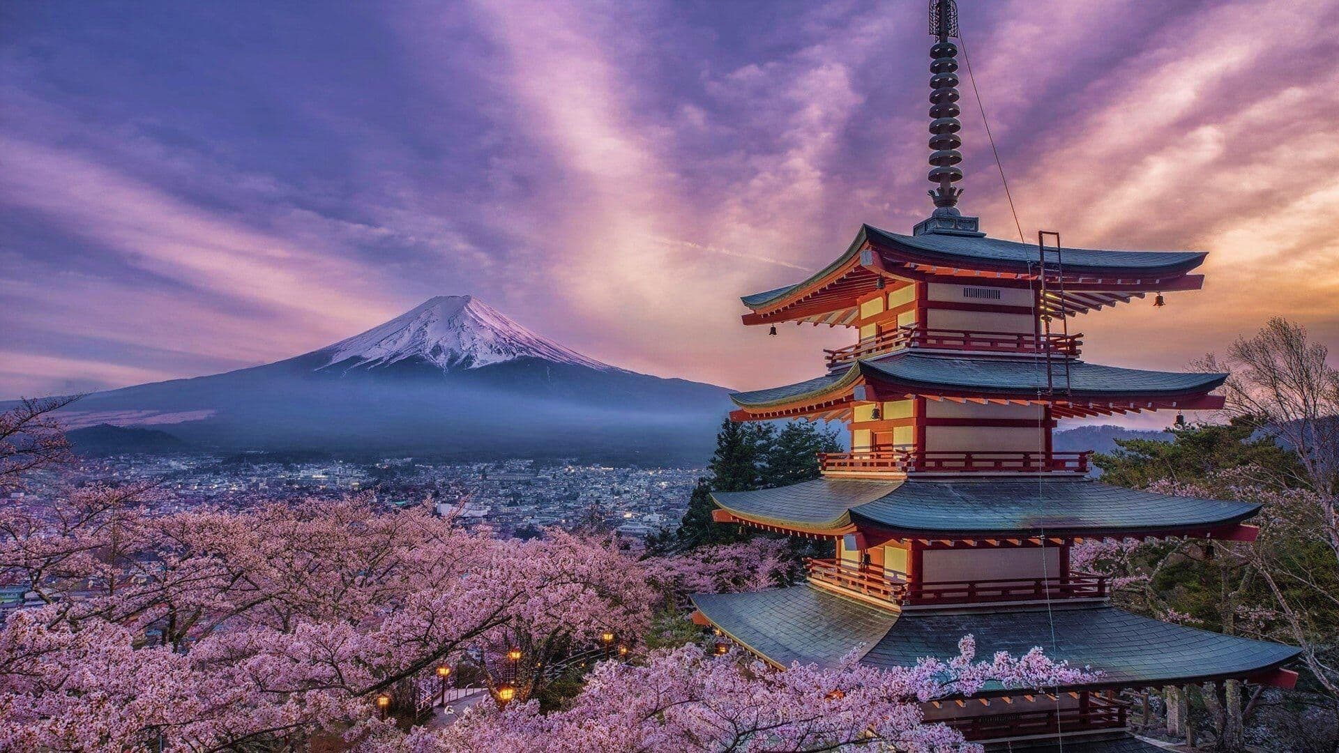 WK-JPN