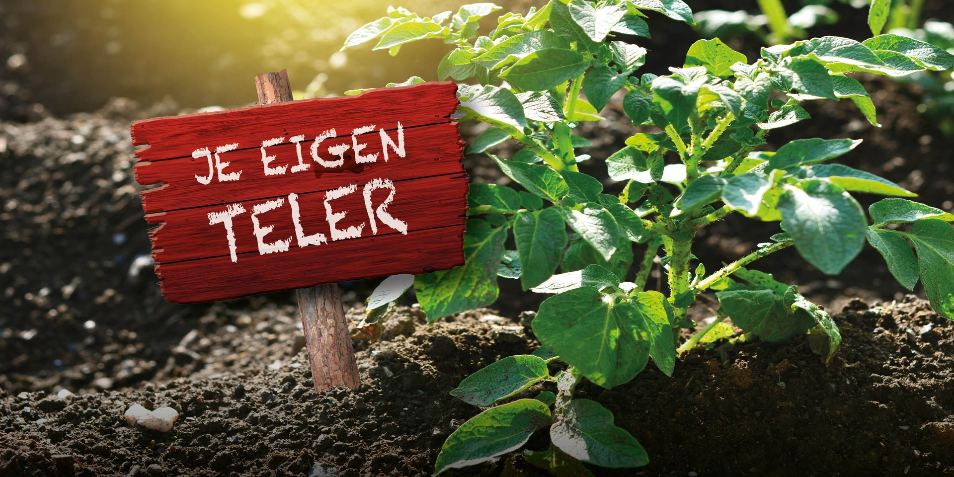 Header je eigen Oerfriet teler