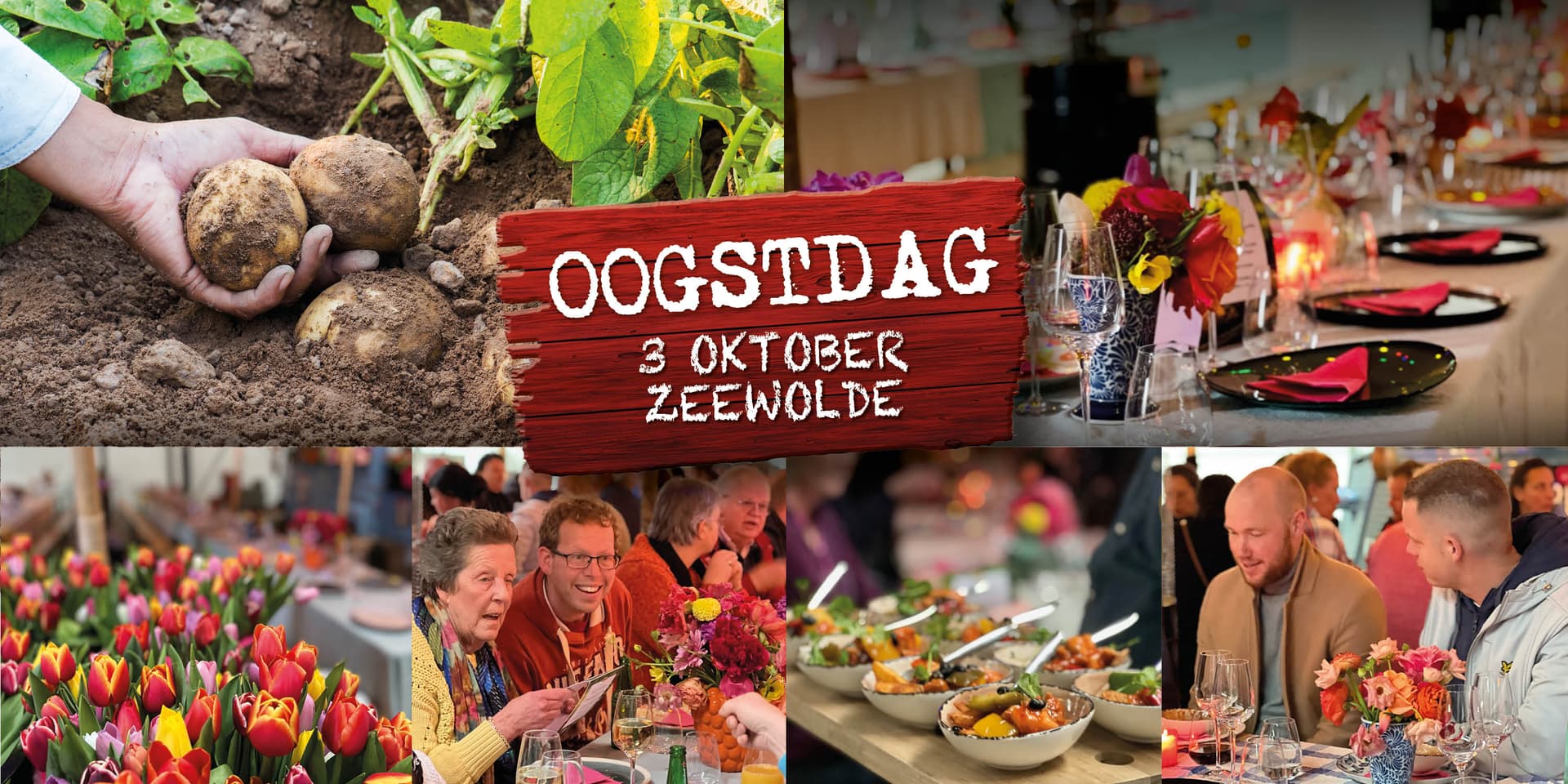 aviko_oogstdag_banner_1440x720