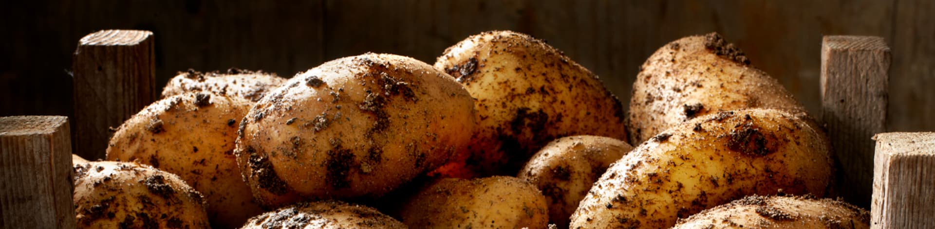 Aardappels van het land | Aviko foodservice - House of Fries