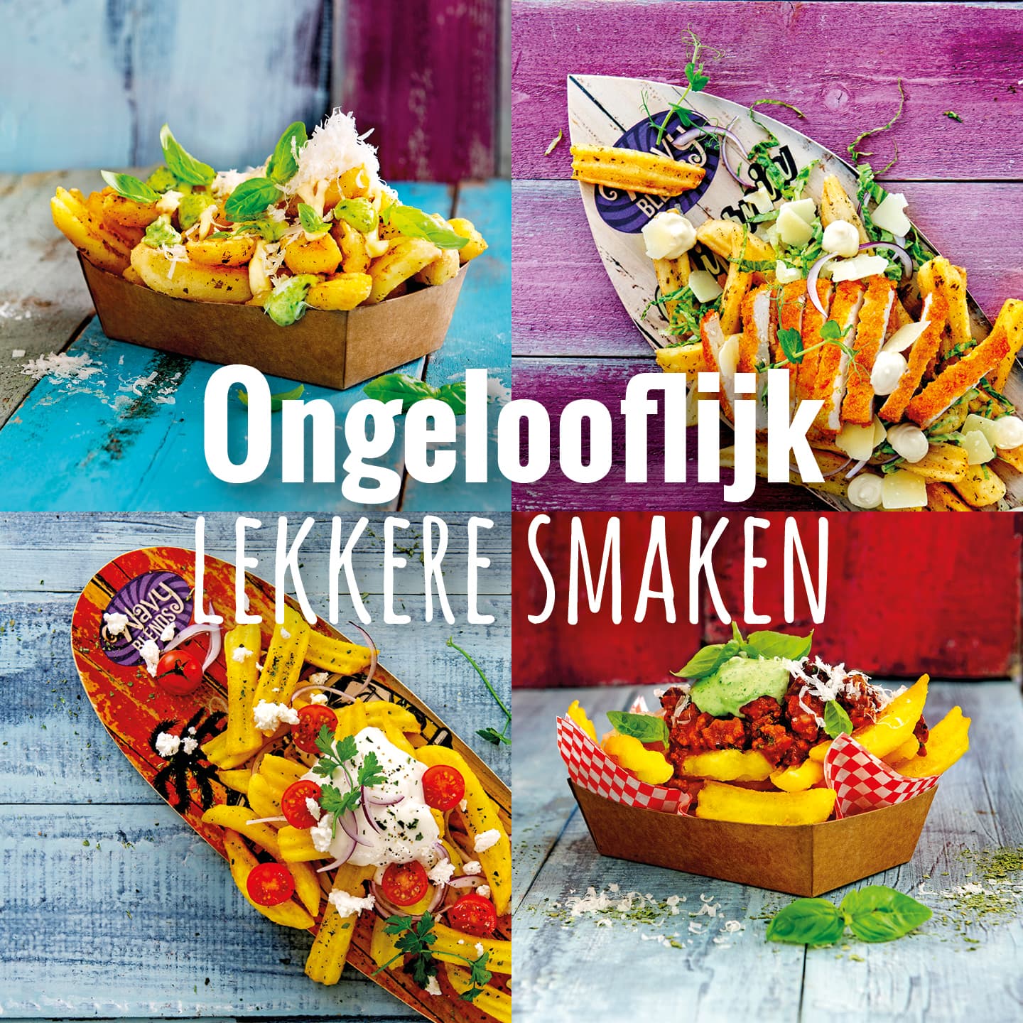 4 varianten loaded fries